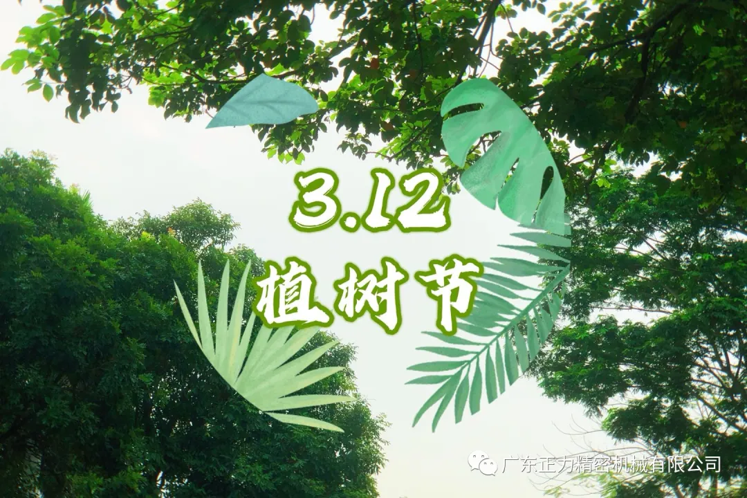 “3.12植樹節(jié)”——全民義務植樹40周年